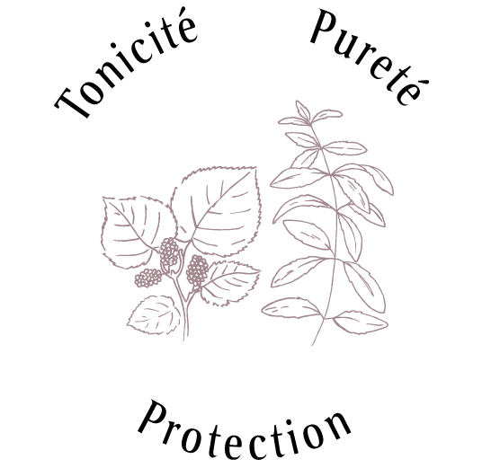 Atouts plantes peau : Tonicité, Pureté, Protection