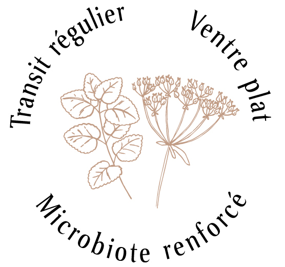 Atouts plantes : Transit régulier, Ventre plat, Microbiote renforcé 