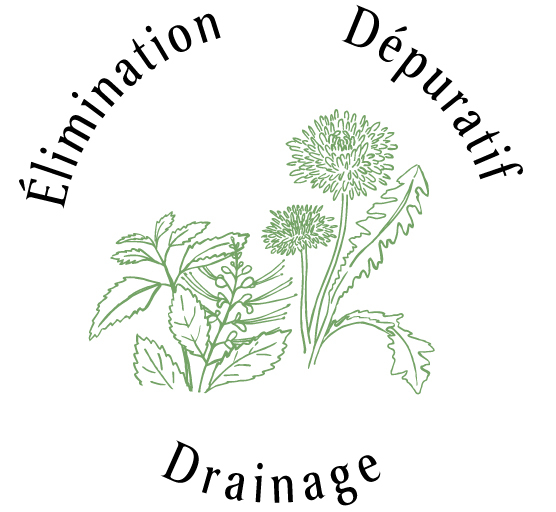 Atouts plantes : Elimination, Dépuratif, Drainage 