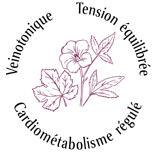 Atouts plantes Cardiometabolic : Veinotonique, Tension équilibrée, Cardiométabolisme régulé 